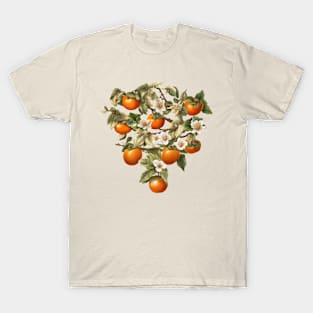 Persimmons T-Shirt